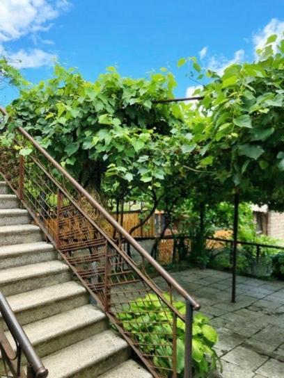 Achela'S Guesthouse Боржомі Екстер'єр фото